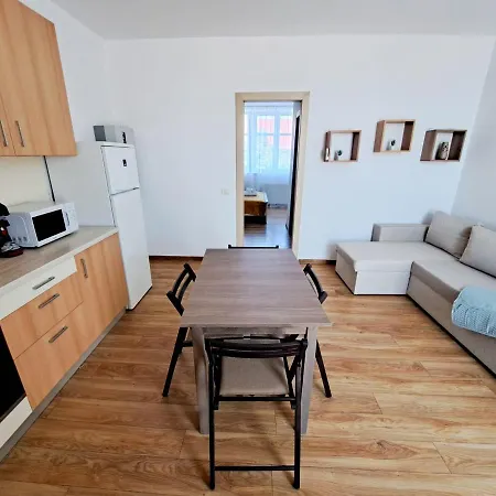 Apartment Clasic Apartament Timisoara